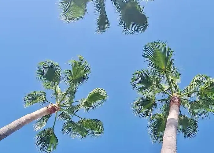 Modern 4-person With Pool & Indoor Parking Apartment Estepona